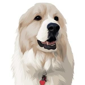 Meet your Posher, Brenda